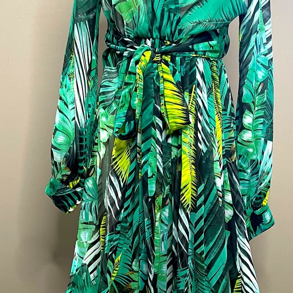 Jungle Print Long-Sleeve Maxi Dress - Picture 4 of 12